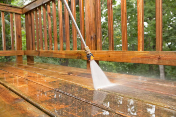Best Gutter Cleaning  in Waldo, FL